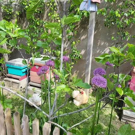 Apartment - Cosy Angers