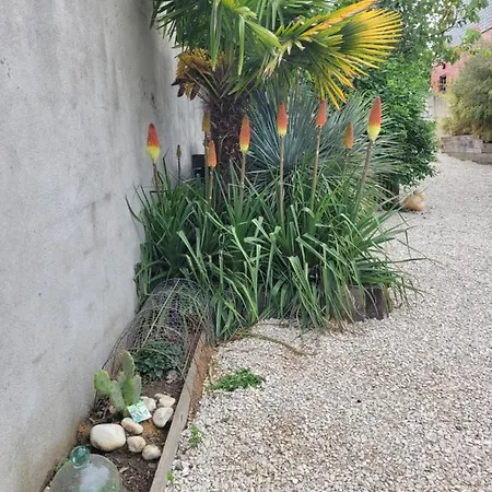 - Cosy アパート *