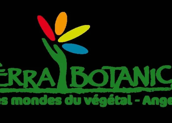 - Cosy * アンジェ