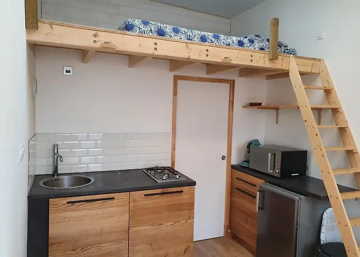 - Cosy Appartement *