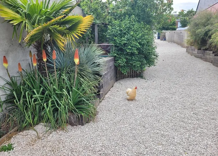 - Cosy * アンジェ