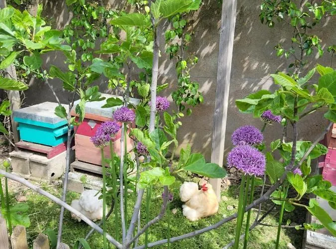 Appartement - Cosy Angers