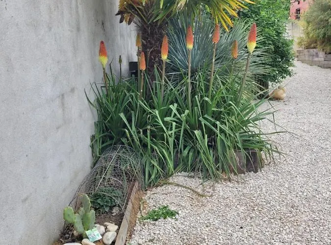 - Cosy Appartement *